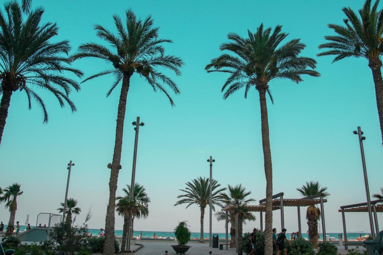 Texas Apartment Alicante Luaran gambar